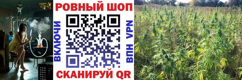 Наркота Каневская ГАШ Cocaine Альфа ПВП Конопля Codein Мефедрон