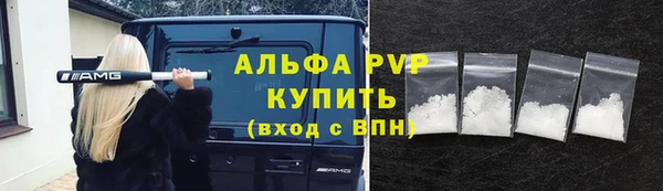 стаф Шадринск