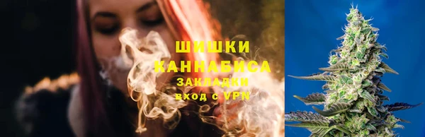 бутират Белокуриха