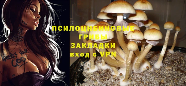 MDMA Premium VHQ Белоозёрский