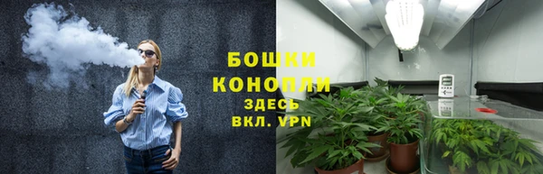прущие грибы Балахна